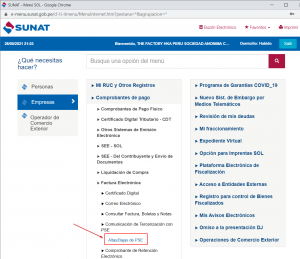 Pse paso2 b.png