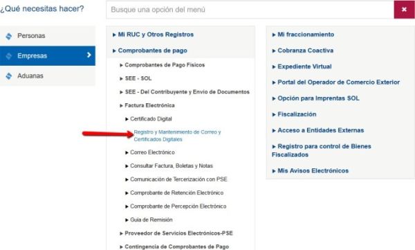Registro sunat.jpg